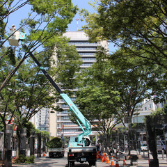 ▼正社員：造園の現場作業員（施工管理候補）【経験者募集】▼ 建設会社や公共工事でも表彰された実績あり◎ 年間休日拡大中！働きやすさ重視の職場環境◎ 創業150年超の安定基盤！技術を次世代へ継承◎の画像