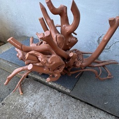 サビタの根っこ　インテリア　年季物　の画像