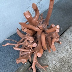 サビタの根っこ　インテリア　年季物　の画像