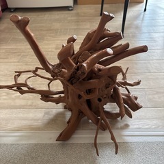 サビタの根っこ　インテリア　年季物　の画像