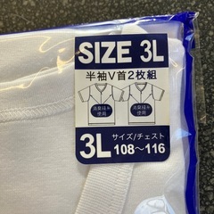 M2511-480　吸汗速乾 肌着 半袖 Ｖ首 ホワイト 2枚組 3Lサイズ DRY HI-MAX 未使用品 保管汚れ有りの画像