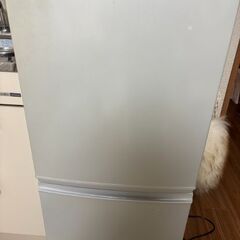 洗濯機、ベッド、ソファー、冷蔵庫が無料ですの画像