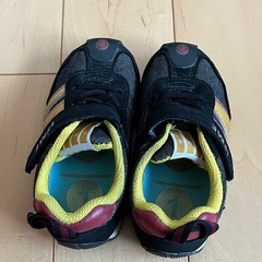 イフミー15.5cmの画像