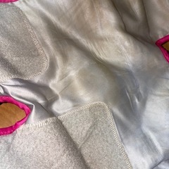 Panasonic エアーレッグリフレの画像