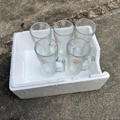 ビール大ジョッキ5個