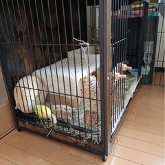 うさぎ用ケージ　木造の画像