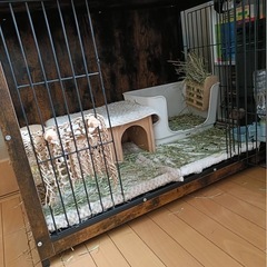うさぎ用ケージ　木造の画像