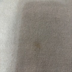 レディース　ニットの画像