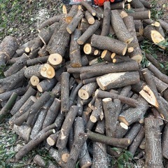 【無料】クスノキ・薪・丸太
の画像