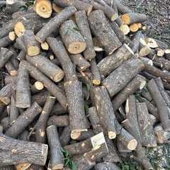 【無料】クスノキ・薪・丸太
の画像