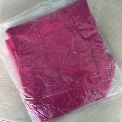 【未使用品・海外購入】女性　チュニック　ブラウスの画像