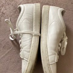 ラコステ　スニーカー　メンズ26.5センチ程の画像