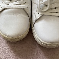 ラコステ　スニーカー　メンズ26.5センチ程の画像