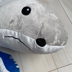 未使用　足が生えているサメの画像