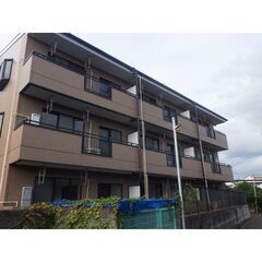 🎁初期費用8万円❣️審査対策🉑⭐️敷・礼・仲0円⭐️平塚駅…