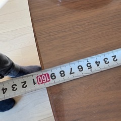 ダイニングテーブル4脚チェアつきの画像