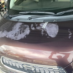 低走行！！ダイハツ キャストスタイルの画像