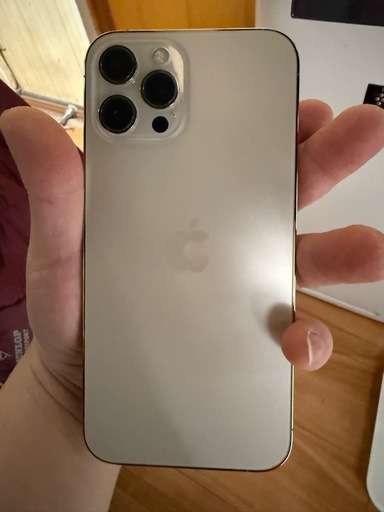 iPhone12 ProMAX 128GB
