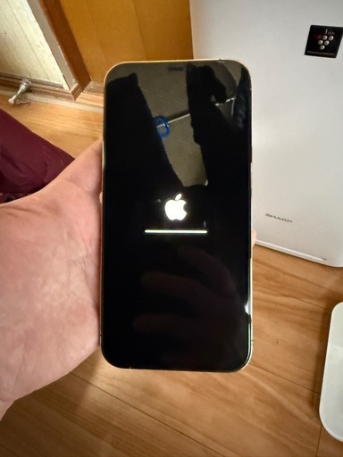 iPhone iPhone12 ProMAX 128GB