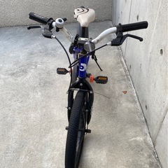 D-Bike マスター １８インチの画像