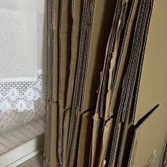 140サイズダンボール📦30枚程あるので、居る方の画像