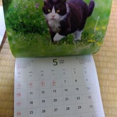 2026　カレンダー　猫の画像