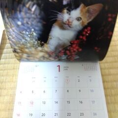 2026　カレンダー　猫の画像