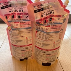 【予約中】エマール 詰め替え 大容量 900ml ２個（通常サイズ4個分）の画像