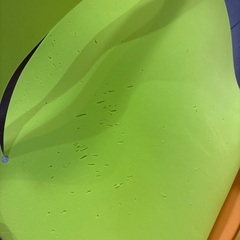 Aprica(アップリカ) バスチェアーの画像