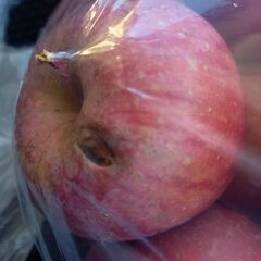 青森県産フジりんご★傷ありB級品★風味が豊かな品種の画像