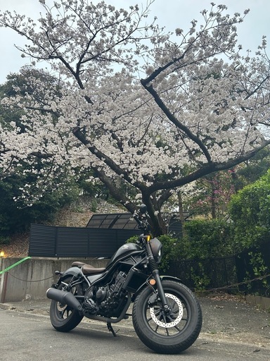 レブル250sエディション