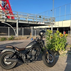 レブル250sエディションの画像