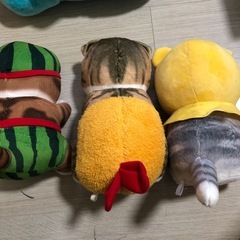 ぬいぐるみ3つセットの画像