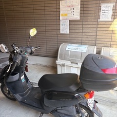 ホンダタクト50ccの画像