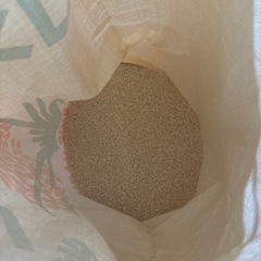 早め引取の画像