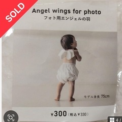 天使の羽の画像