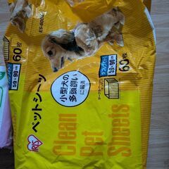 ペットシートの画像