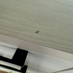 ✨️ジモティー割引✨️【ジャングルジャングル堺初芝店】　TV台　堺市（東区　西区　北区　南区　堺区　美原区）高石市　泉大津市　忠岡町　和泉市　松原市　大阪狭山市の画像