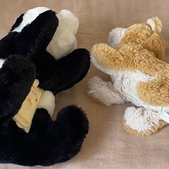 色んなぬいぐるみ２の画像