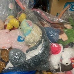 決まりました。ぬいぐるみ、仮面ライダー、おもちゃの画像