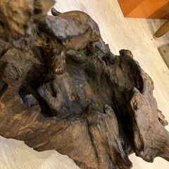 流木 大きいサイズ インテリア 飾り台 花台 盆栽台  インテリアの画像
