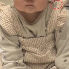 ベビー服 サロペットの画像