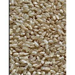 令和7年産　新米　大分県産なつほのか　お米（玄米28㎏キロ　or 白米27㎏キロ　宅配便重量制限資材重量込みお米30㎏キロ以内梱包の画像