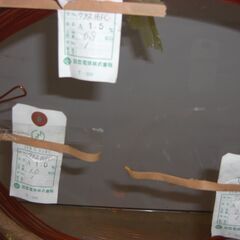 銅線　約6kgの画像