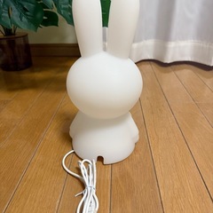 ミッフィーライトの画像