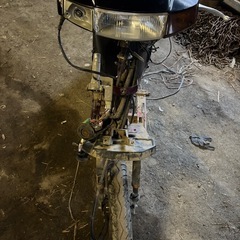 スズキ　　セピアの画像