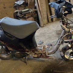 スズキ　　セピアの画像