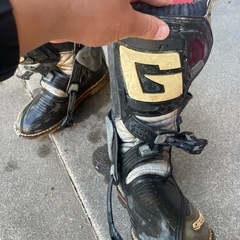 ガエルネの画像