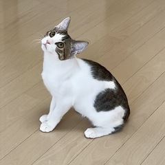 爽やかイケメンのかまって君