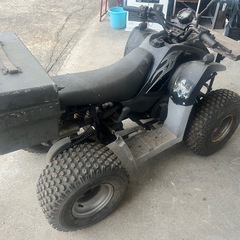 4輪　バギーの画像